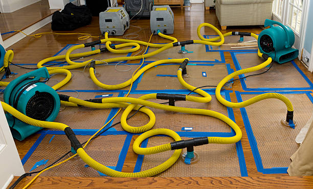 Professional Sewage Cleanup technician working in Stuart, VA